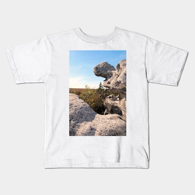 Rock Formation, Dolly Sods, West Virginia Kids T-Shirt by searchlight